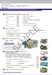 Super Minds 2nd Edition 6 Workbook with Digital Pack British English дополнительное фото 3.