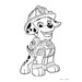 Пазли-розмальовки двосторонні серії Baby Maxi «Щенячий патруль: Скай і Раббл», 10+10 ел., Trefl дополнительное фото 4.