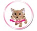 Интерактивная собачка Чихуахуа Хеппи с сумочкой (30 см), Chi Chi Love дополнительное фото 7.