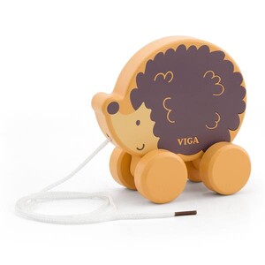 Розвивальні іграшки: Дерев'яна каталка Viga Toys PolarB Їжачок