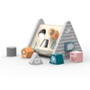 Деревянный сортер Viga Toys PolarB Развитие 5 в 1