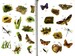 Insects sticker book дополнительное фото 4.