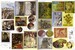 Impressionists sticker book [Usborne] дополнительное фото 4.