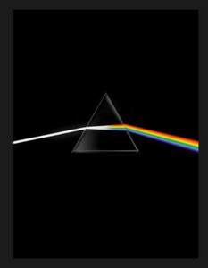 Pink Floyd: Their Mortal Remains (9781851779161)