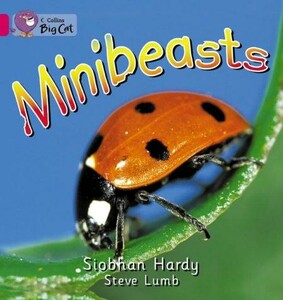 Книги для детей: Big Cat  1A Minibeasts. Workbook [Collins ELT]