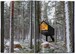 Small Houses [Taschen] дополнительное фото 6.