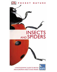 Книги для дітей: Insects and Spiders