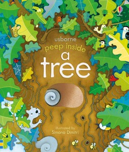 Книги для дітей: Peep inside a tree [Usborne]