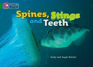 Книги для детей: Big Cat  5 Spines, Stings and Teeth. Workbook [Collins ELT]
