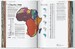 Understanding the World. The Atlas of Infographics [Taschen] дополнительное фото 7.