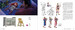 Spider-Man: Across the Spider-Verse: The Art of the Movie [Abrams] дополнительное фото 6.