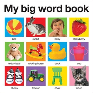 Книги для детей: My Big Word Book