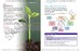 Cambridge Primary Science 2nd Edition 3 Learner's Book with Digital Access (1 Year) дополнительное фото 2.