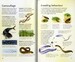 Spotter's Guides: Sea and freshwater fish дополнительное фото 5.