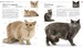 The Cat Encyclopedia дополнительное фото 4.
