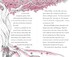 Fairy Ponies Midnight Escape [Usborne] дополнительное фото 5.