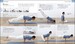 Yoga Your Home Practice Companion дополнительное фото 3.