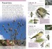 RSPB Pocket Birds of Britain and Europe дополнительное фото 4.
