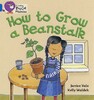 Big Cat Phonics 4 How to Grow a Beanstalk [Collins ELT]