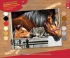Набор для творчества PAINTING BY NUMBERS SENIOR Stable Dooor Trio Sequin Art