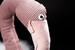 Beasts Фламинго (28 см) Sigikid дополнительное фото 1.