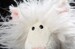 Мягкая игрушка Beasts Кошка Сминки Пинки (37 см) Sigikid дополнительное фото 7.