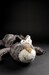 М'яка іграшка Beasts Кіт Паул Плетт (35 см) Sigikid дополнительное фото 7.