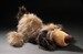 М'яка іграшка Beasts Собака (45 см) Sigikid дополнительное фото 7.