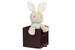 Les Amis Кролик кремовый (25 см) в коробке Kaloo дополнительное фото 2.