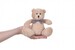 М'яка іграшка Ведмедик бежевий (13 см) Same Toy дополнительное фото 2.