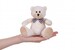 М'яка іграшка Ведмедик білий (13 см) Same Toy дополнительное фото 2.