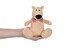 М'яка іграшка Полярний ведмедик бежевий (13 см) Same Toy дополнительное фото 2.