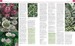 RHS Encyclopedia of Perennials дополнительное фото 2.