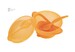 Тарелка на присоске с крышкой и ложкой, Baby team (оранжевый) дополнительное фото 1.