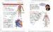 Cambridge Primary Science 2nd Edition 6 Learner's Book with Digital Access (1 Year) дополнительное фото 2.