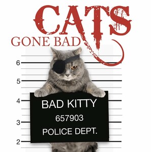 Фауна, флора і садівництво: Cats Gone Bad (Mini Gift) [Amber Books]