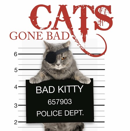 Фауна, флора і садівництво: Cats Gone Bad (Mini Gift) [Amber Books]