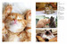 Cats: A Celebration of Our Feline Friends [Amber Books] дополнительное фото 2.