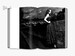 Dior: New Looks [Thames & Hudson] дополнительное фото 4.