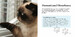 Cats Gone Bad (Mini Gift) [Amber Books] дополнительное фото 2.
