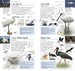 RSPB Pocket Birds of Britain and Europe дополнительное фото 1.