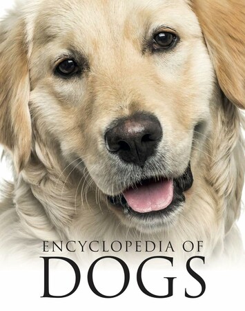 Енциклопедії: Encyclopedia of Dogs [Amber Books]