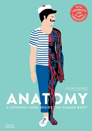 Все про людину: Anatomy: A Cutaway Look Inside the Human Body [Thames & Hudson]