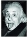 Пазл Эйнштейн (1000 эл.) дополнительное фото 1.