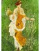 Пазл Весна, фрески Помпеї (1000 ел.) дополнительное фото 1.