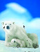 Белая медведица с медвежонком 100 элементов. Eurographics дополнительное фото 1.