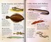 Spotter's Guides: Sea and freshwater fish дополнительное фото 6.