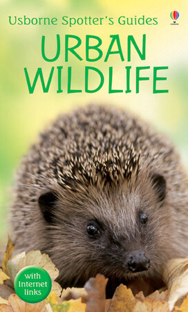 Для младшего школьного возраста: Spotter's Guides: Urban wildlife
