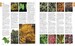 RHS A-Z Encyclopedia of Garden Plants 4th edition дополнительное фото 4.