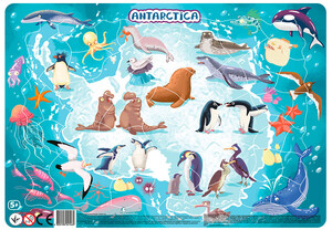 Игры и игрушки: Пазл в рамке Антарктида (53 эл), Dodo